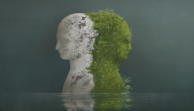 Eco-anxiété